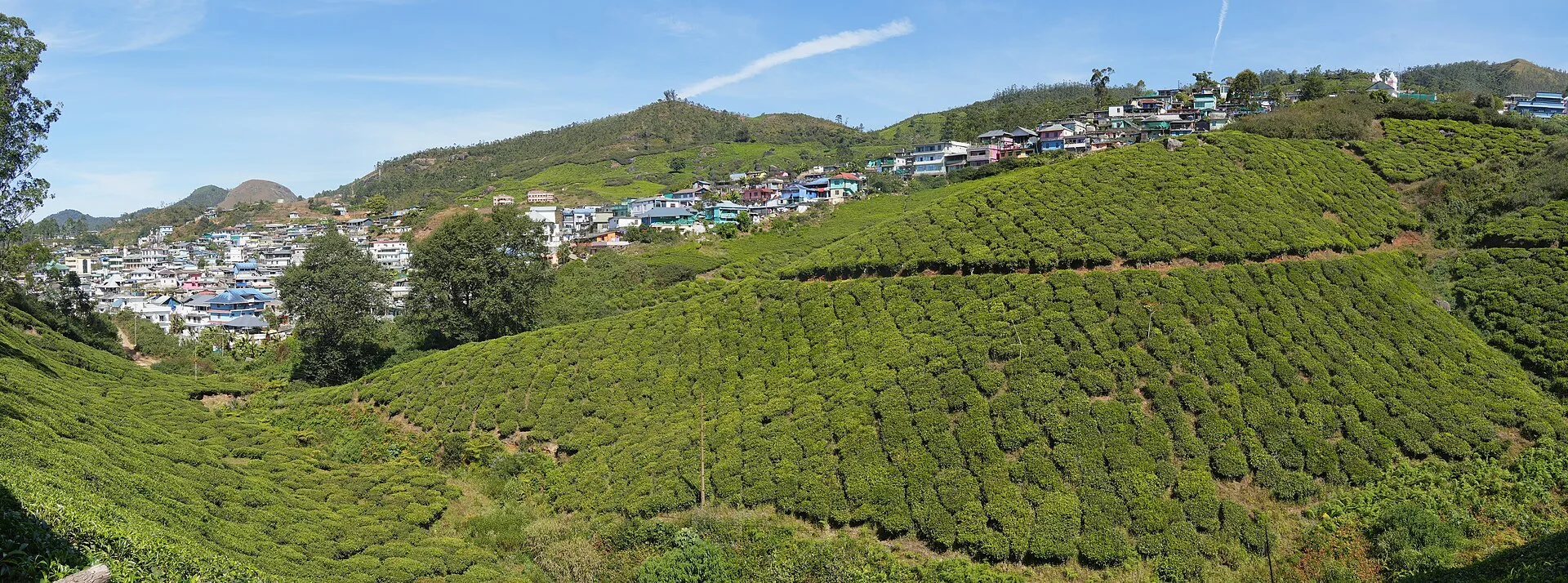Tea plantations in Munnar, Kerala