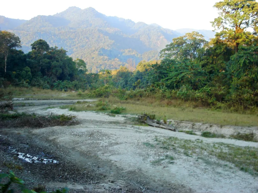 Manas National Park, Assam